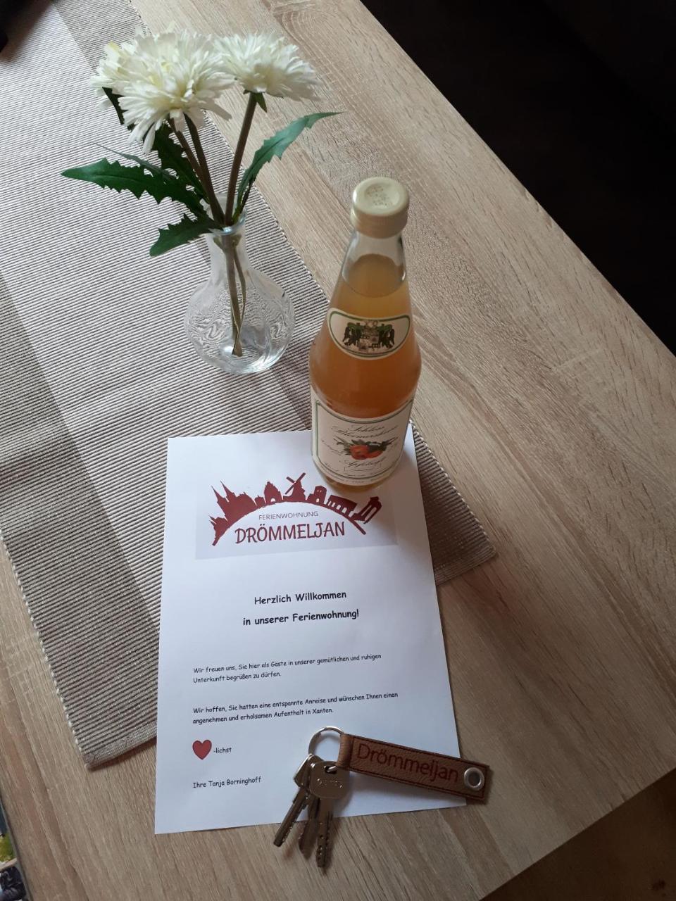 Ferienwohnung Droemmeljan Xanten Dış mekan fotoğraf